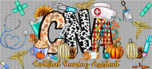 16oz Latest Bestseller-C 11491